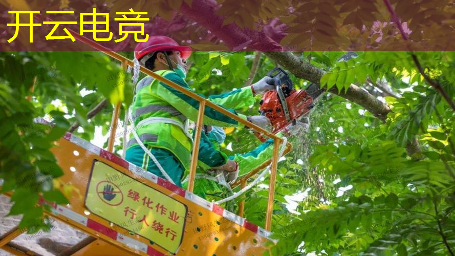 端游国产单机3d游戏