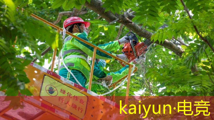 kaiyun电竞官方网站入口：3d宝可梦游戏2020