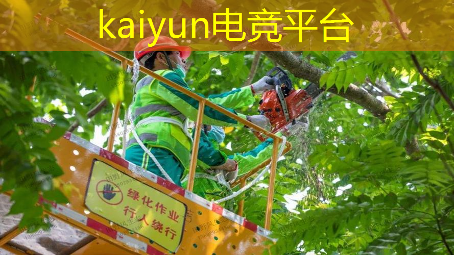kaiyun·电竞：侏罗纪恐龙世界3d游戏解说