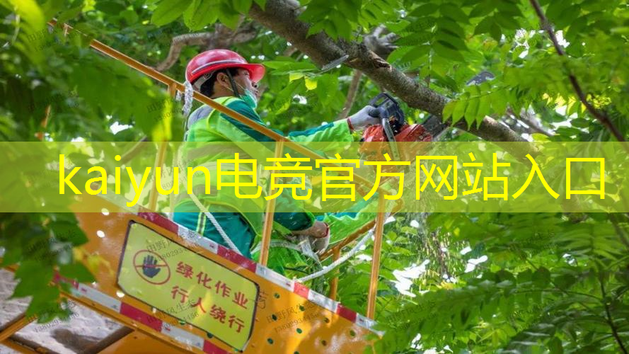开云电竞：游戏原画师 赵洋简介