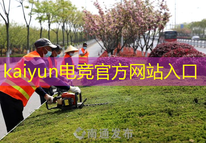 塔罗牌占卜游戏程序是什么
