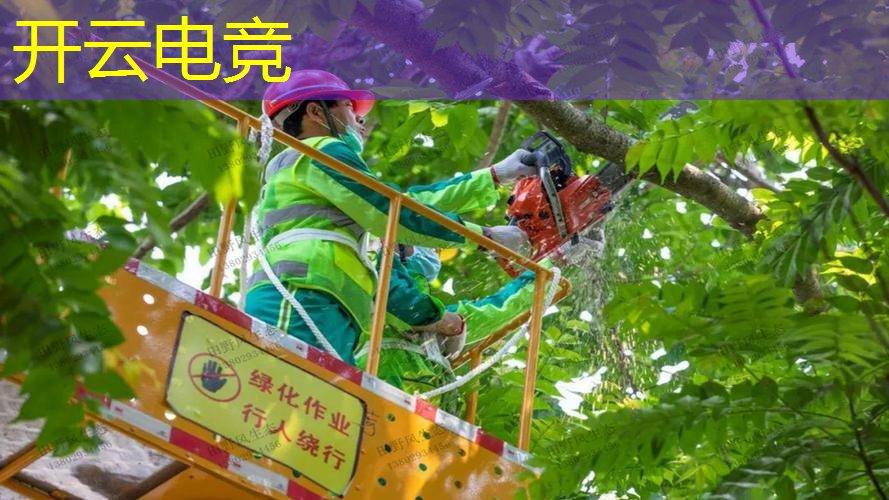 开云电竞：修指甲游戏 小程序推荐