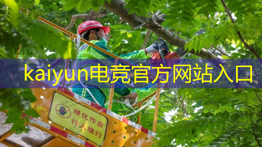 kaiyun电竞官方网站入口：游戏原画设计配色方案