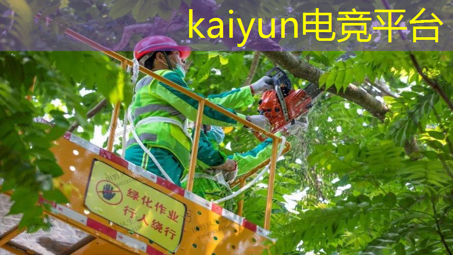 kaiyun电竞官方网站入口：3d猎人游戏手游推荐