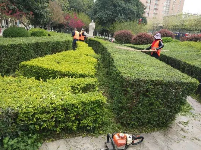 六道仙术游戏3d版攻略