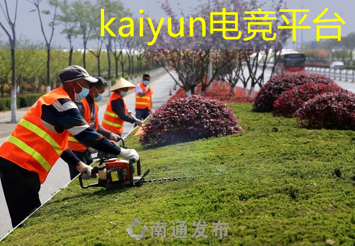 携手同行：中国青年电竞大赛中的合作与竞争。
