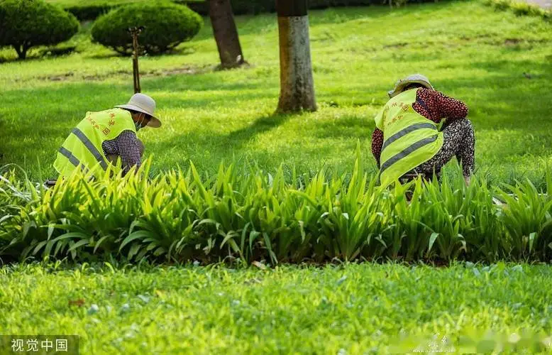 3D射击类联机动画游戏