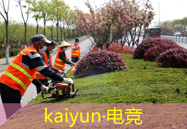 塔罗牌占卜游戏程序是什么
