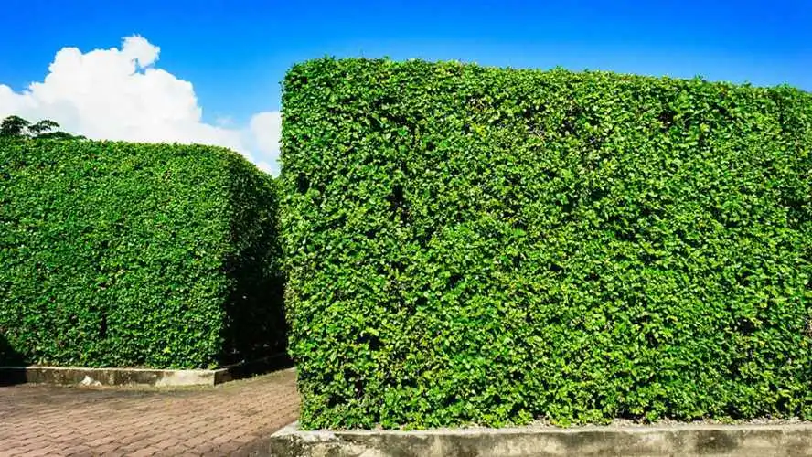 多人3d装扮游戏推荐