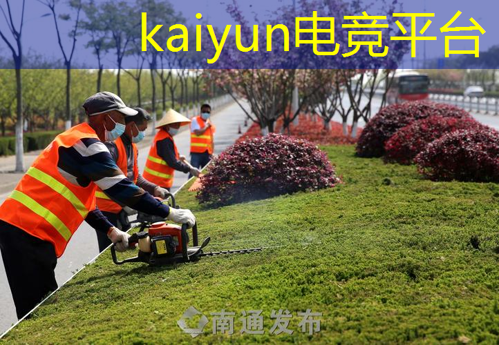最强青年电竞大赛的深度报道：揭秘幕后策划与组织过程。