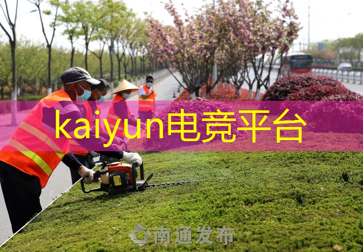 3d宝可梦游戏叫什么名字